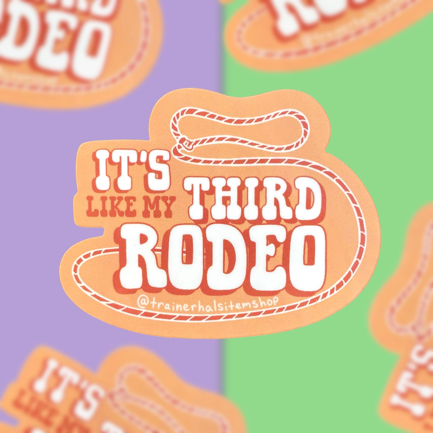 Sarcastic First Rodeo Western Sticker | Cowboy Dad Joke Decal