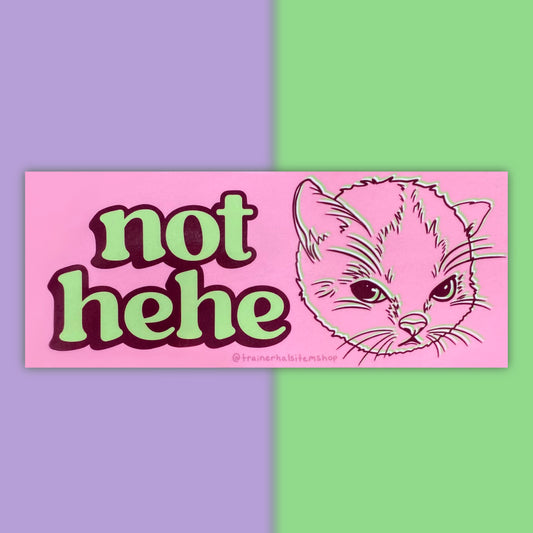 Hehe Cat Meme Bumper Sticker | Grumpy Kitten Pink Y2K Car Decal