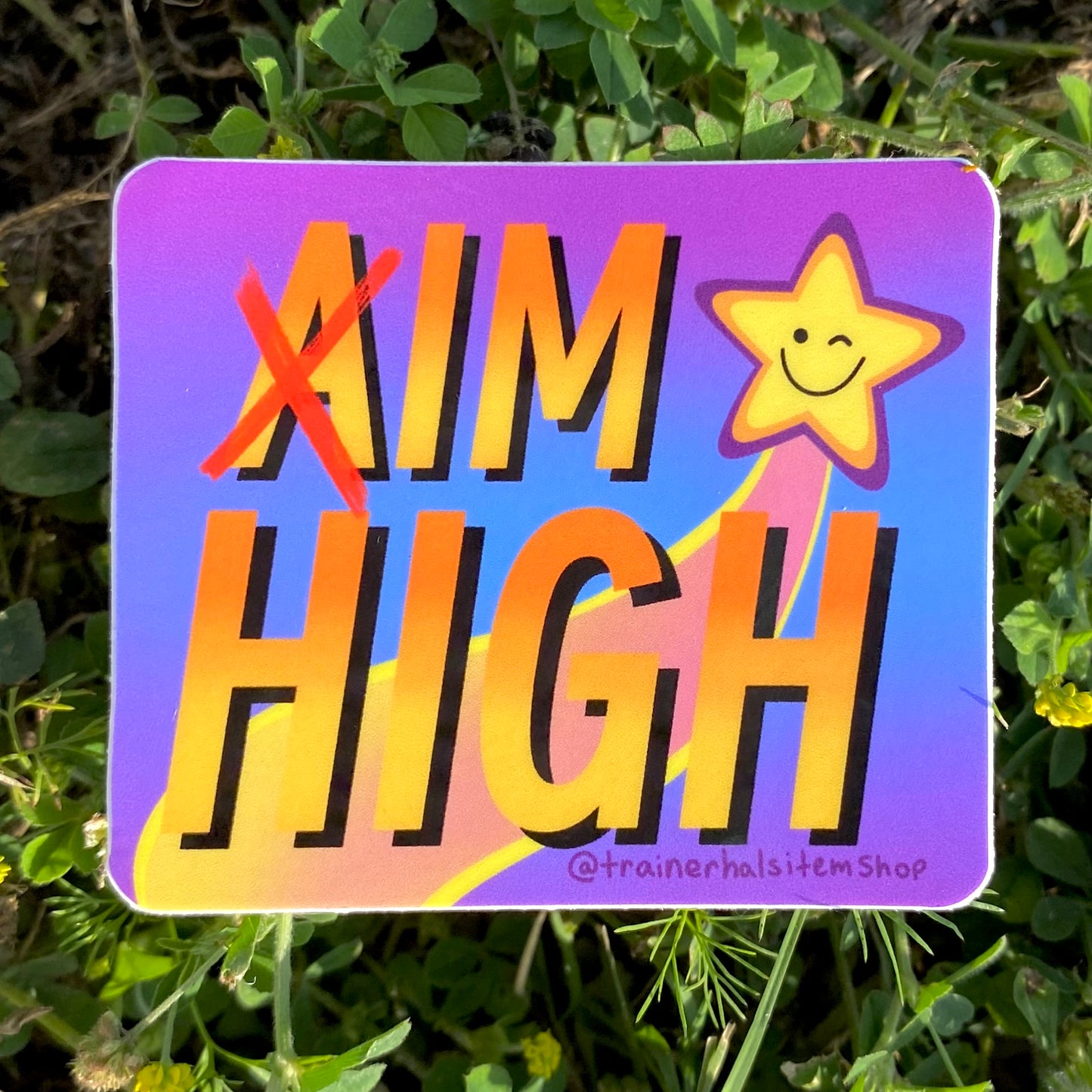 Aim High Stoner Pride Sticker | Dope Nostalgic 90s Decal