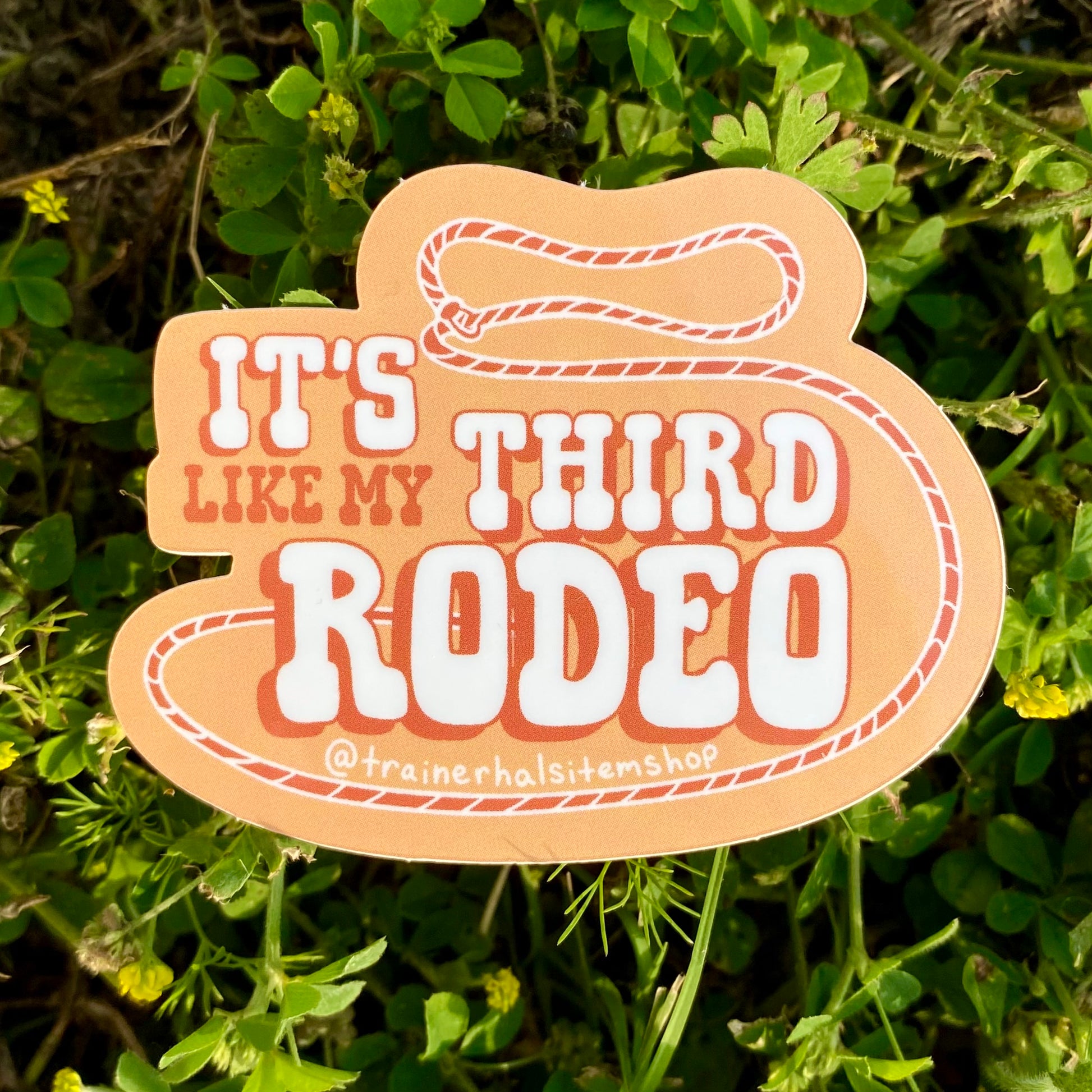 Sarcastic First Rodeo Western Sticker | Cowboy Dad Joke Decal