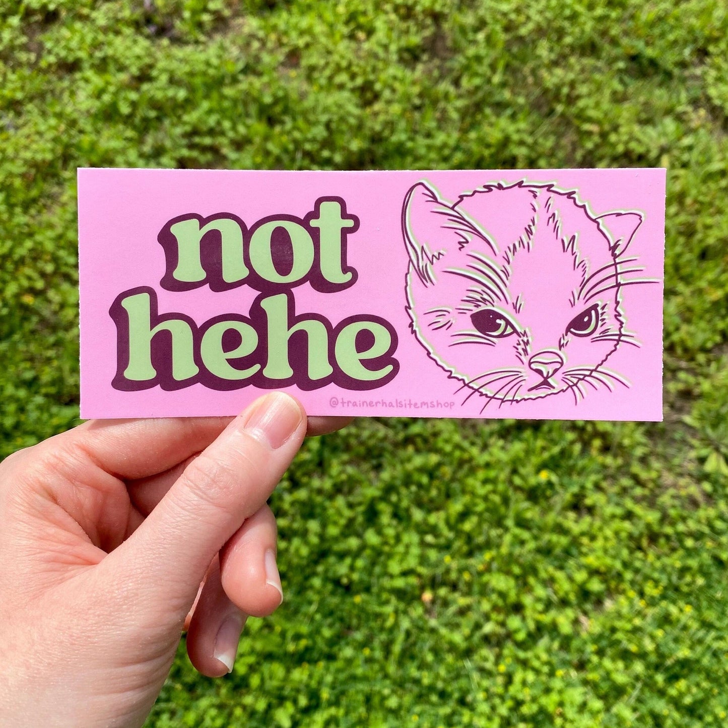 Hehe Cat Meme Bumper Sticker | Grumpy Kitten Pink Y2K Car Decal