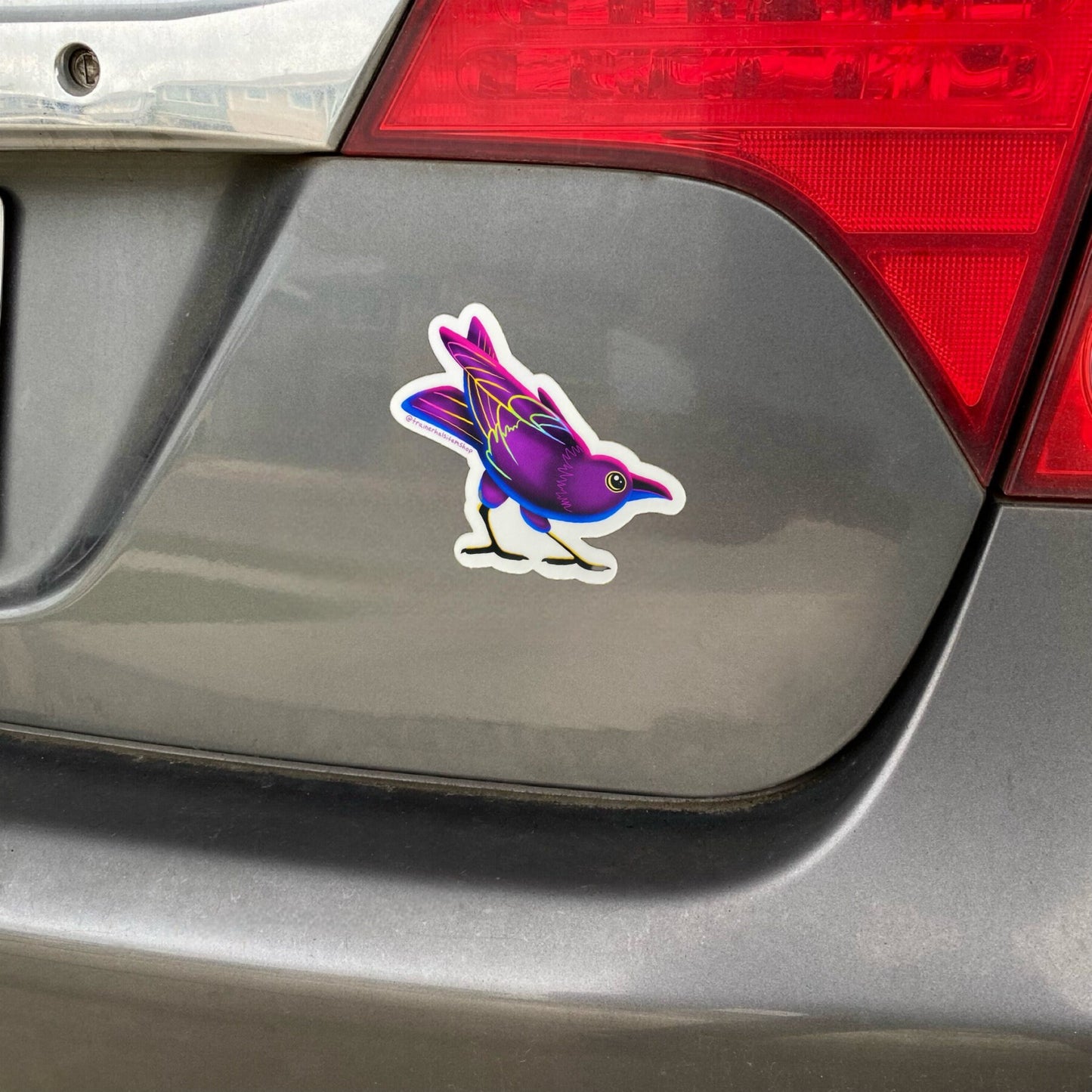 Cute Rainbow Crow Bumper Sticker | Colorful 90s Raven Car Decal