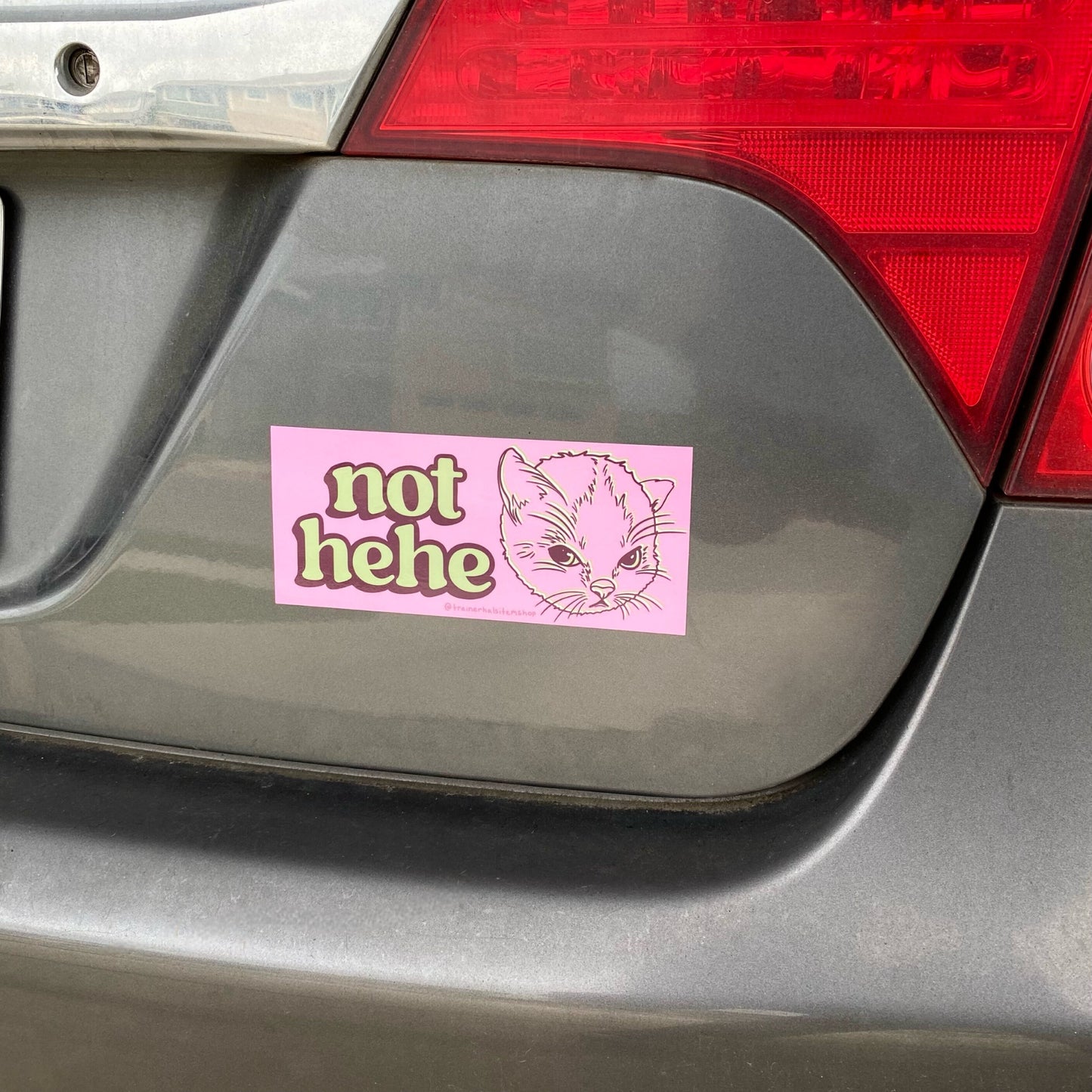 Hehe Cat Meme Bumper Sticker | Grumpy Kitten Pink Y2K Car Decal